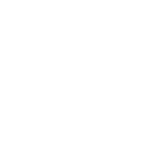 Meta Capital Inc.